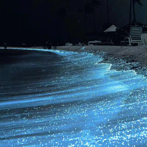 60老太与孑交尾
